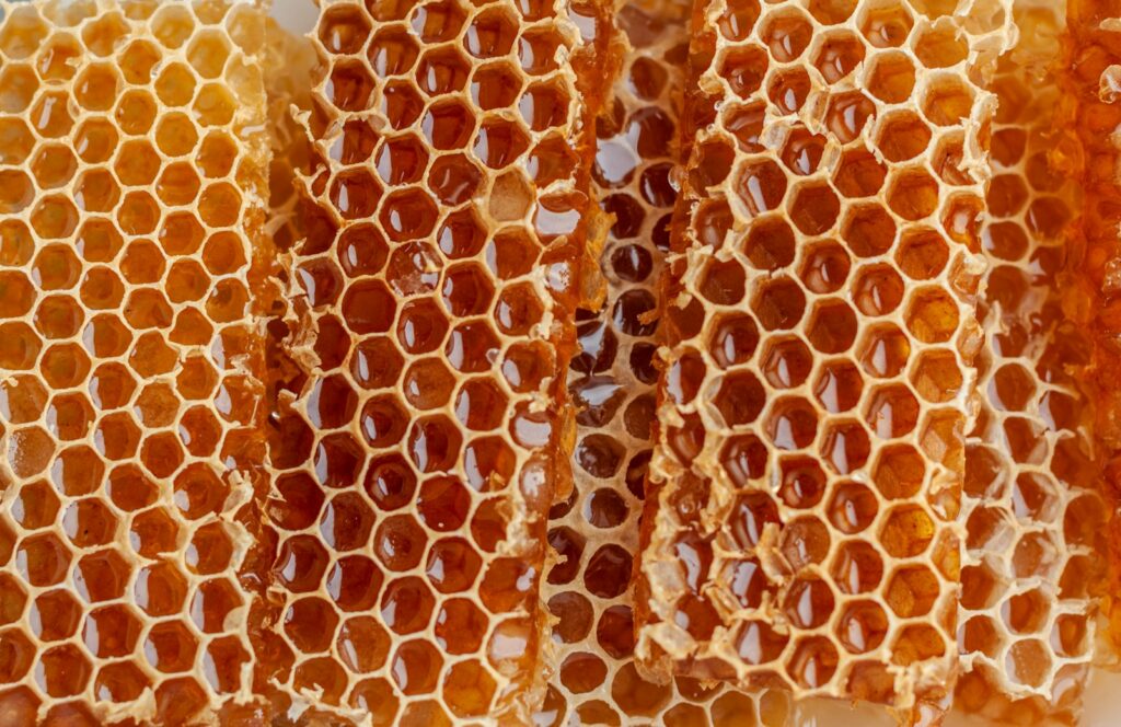 A close up of a bunch of honeycombs 